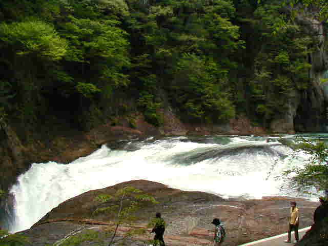 �����̑�